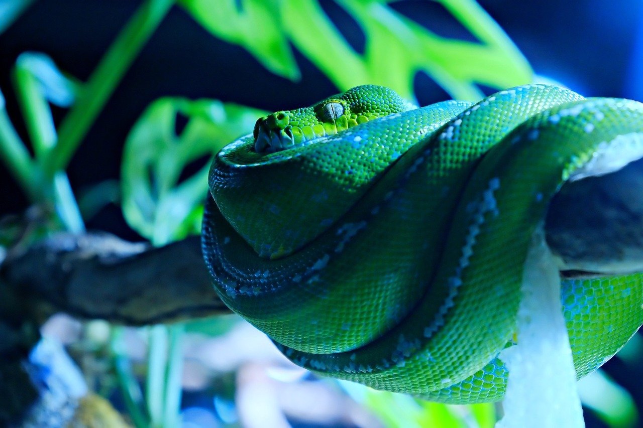 Python 오류 해결법